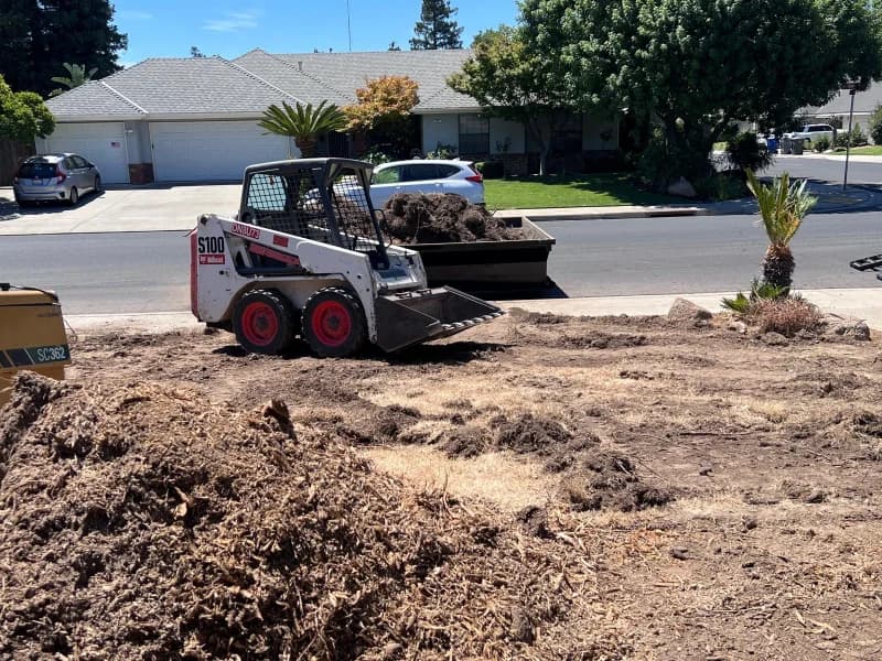 Property Clean-Ups